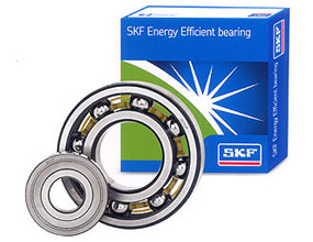 攜手共建技術(shù)橋梁 SKF軸承應(yīng)邀參加力久電機(jī)技術(shù)交流會(huì)